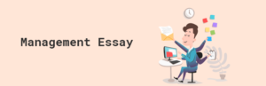 Management Essay: Writing a Top-Notch Essay